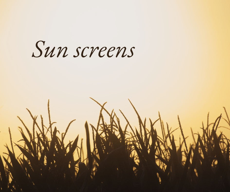 Sun Screens
